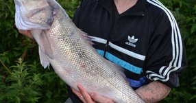 Thumbnail of What an absolute whopper! Angler wins fishing contest with monster fish he STOLE from aquarium