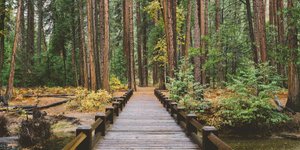 Thumbnail of 17 Questions to Reorient Yourself