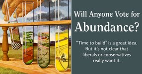 Thumbnail of The “abundance agenda” is a great idea. But will anyone vote for it?