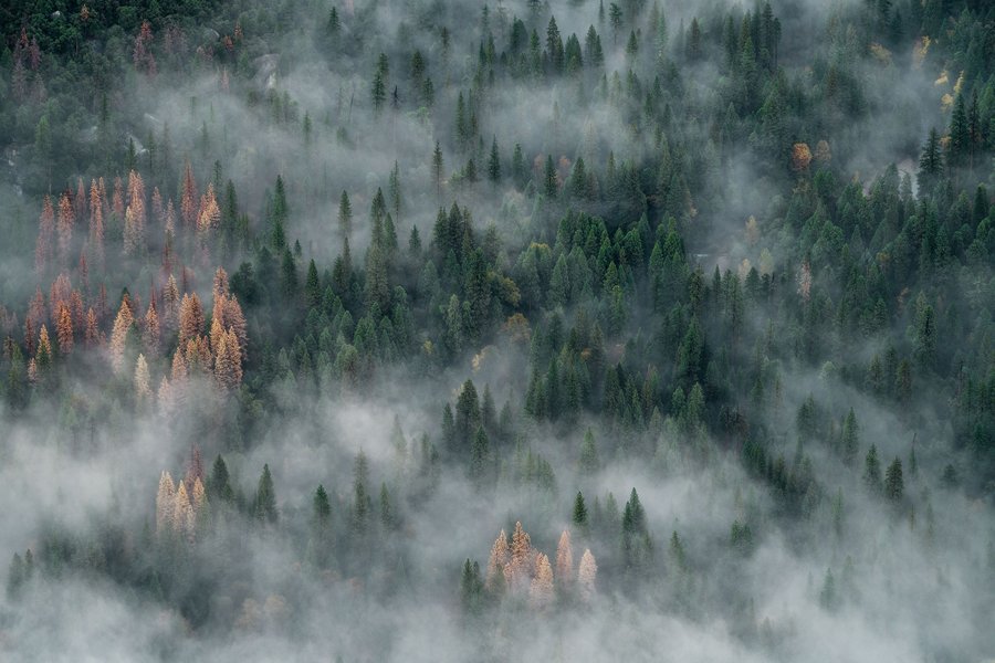 Thumbnail of Image