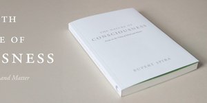 Thumbnail of The Nature of Mind