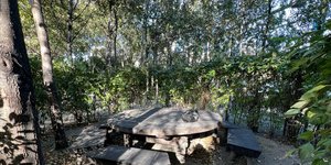 Thumbnail of Gathering as a way back to awe