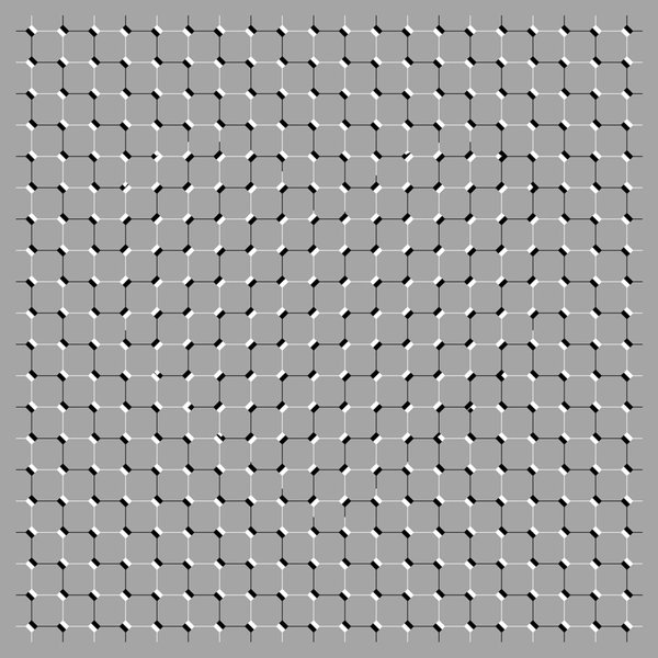 Thumbnail of Image