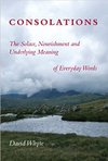 Cover of Consolations: The Solace, Nourishment and Underlying Me…