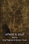 Cover of Where is Soul? Psychology in Modernity
