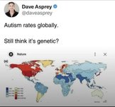 Thumbnail of Autism as a Linguistically Created Disorder