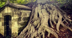 Thumbnail of Richard Dawkins on the Luckiness of Death