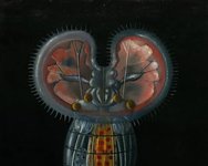 Thumbnail of 'How Can I Become a Writer?'