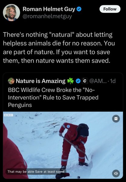 Thumbnail of Tumblr Dashboard
