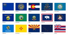 Thumbnail of US Flags [dot] Design