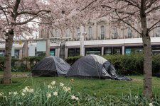Thumbnail of Opinion | Ireland Is Rich. That Doesn’t Mean It’s Happy.