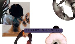 Thumbnail of Privacy is so sexy.