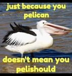 Thumbnail of Pin by Rissa<3 on mood omfg | Funny memes, Cute memes, English memes