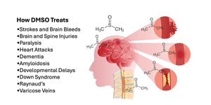 Thumbnail of DMSO Could Save Millions From Brain and Spinal Injury