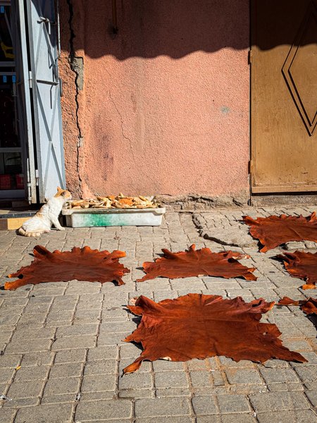 Preview of 3303-jpeg-b74f7e2eb0f9455f