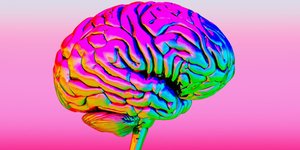 Thumbnail of This Brain Structure Could Be the Key to Understanding Consciousness, Scientists Say