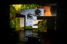 Thumbnail of Center for Human Rights and the Arts | CHRA