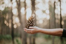 Thumbnail of Your Content and Ads are a Ministry