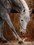 Thumbnail of Melanie Sharp Photography