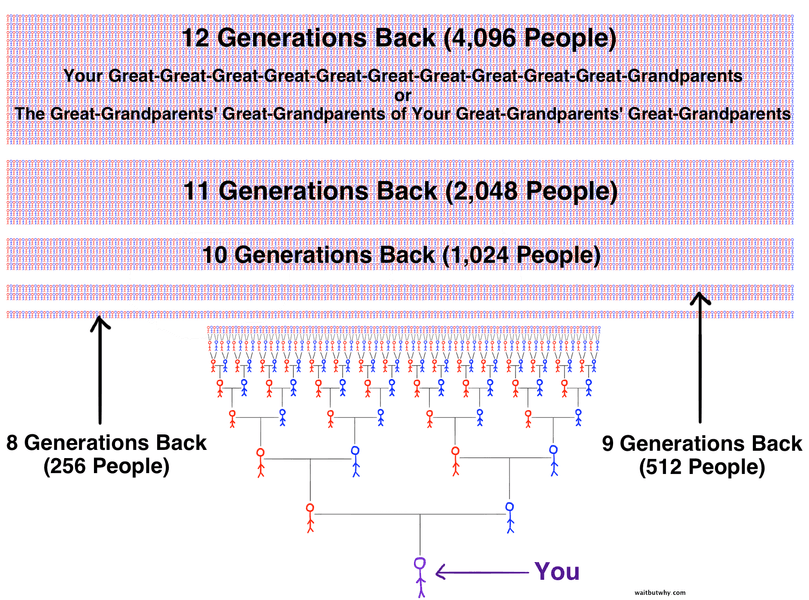 Thumbnail of Your Family: Past, Present, and Future