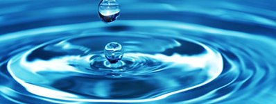 Thumbnail of Malchut - The humility of kingship. - Chabad.org