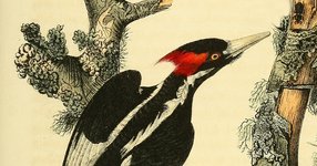 Thumbnail of How Not to Waste Your Life