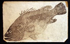 Thumbnail of Gyotaku