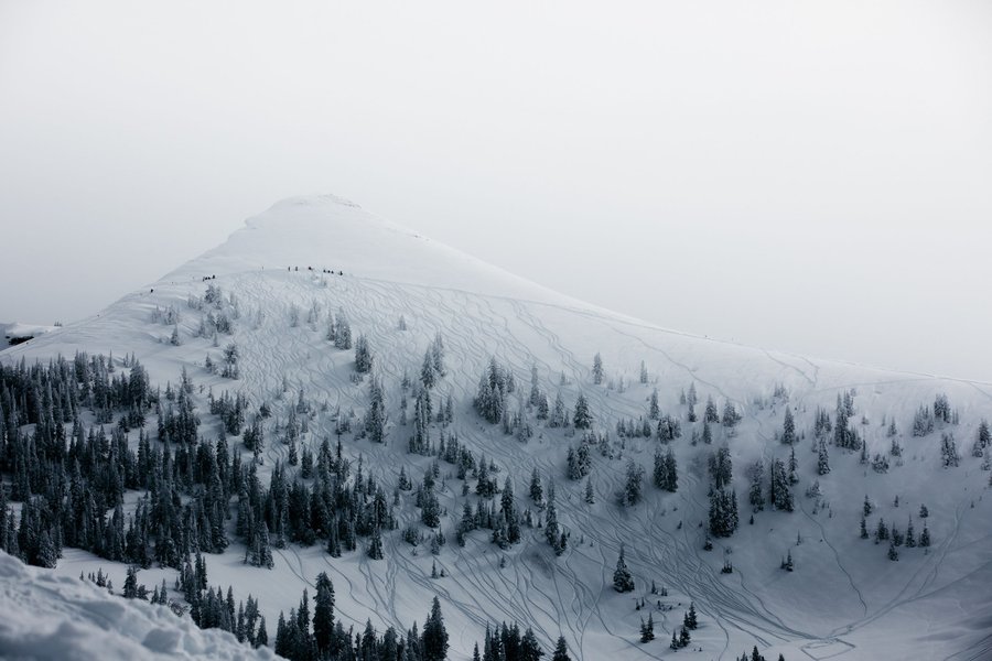 Preview of unsplash-jpg-cc45