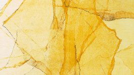 Thumbnail of Wadada Leo Smith / Amina Claudine Myers: Central Park's Mosaics ...