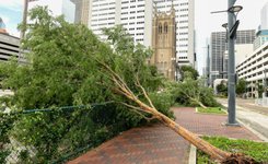 Thumbnail of In Texas, a Crisis of Inaction Without Consequence
