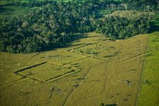 Thumbnail of 10,000 Pre-Columbian Structures Could Be Hidden beneath Amazon Rain Forest