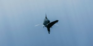 Thumbnail of “I am a nice shark, not a mindless eating machine”