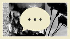 Thumbnail of Why Democrats aren't talking about climate change much anymore