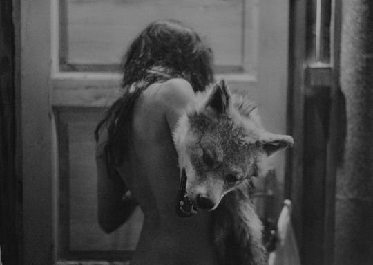 Thumbnail of Pin van 𝗧𝗜𝗠𝗔🌱 op الفن | Dieren, Fotografie, Stijlen