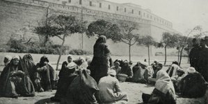 Thumbnail of The Oral Tale
