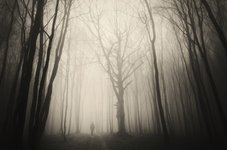 Thumbnail of Lost Ways of Knowing