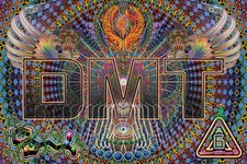 Thumbnail of DMT | DanceSafe