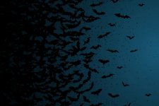 Thumbnail of Why Families Need to Plan for Death While Still Alive