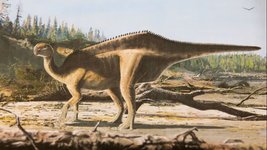 Thumbnail of 新種の恐竜発見、背中に帆を思わせる際立った特徴英