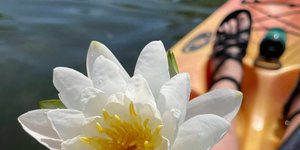 Thumbnail of In Open Defense of Transactionality