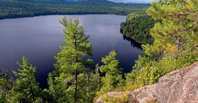 Thumbnail of Silver Lake Bog Preserve
