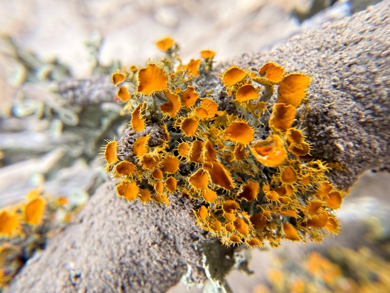 Preview of 9e9088a68d55-jpeg