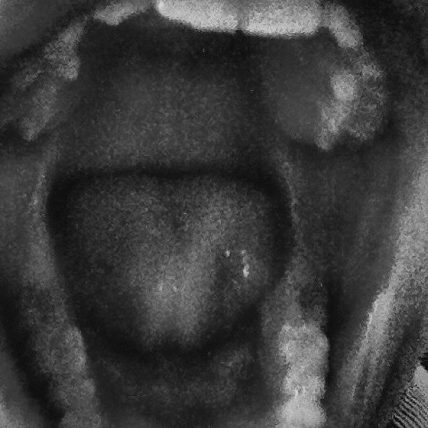 Thumbnail of Francesca