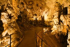 Thumbnail of Postojna Cave: Discover an enchanting underworld in the heart of Slovenia — BBC Wildlife Magazine