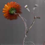 Thumbnail of 43°C, by Basile3