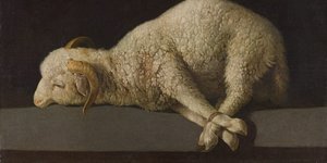 Thumbnail of Media to consume this week instead of doomscrolling - 27.07.25