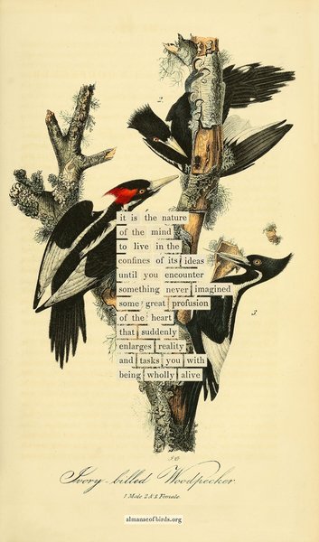 Thumbnail of Tweet