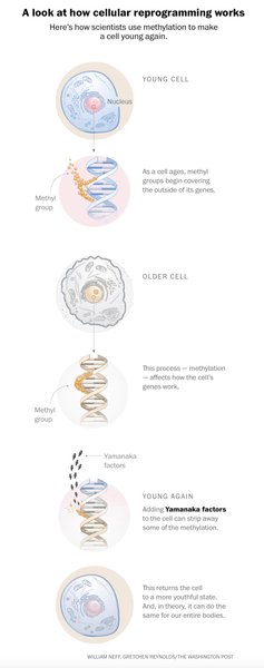 Thumbnail of Home | Substack