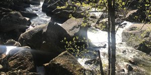 Thumbnail of The Buried Gifts: Uncovering the Natural Talents You've Been Conditioned to Overlook