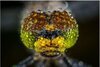Thumbnail of Creative thinking | Anthea Roberts — Anthea Roberts